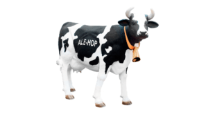 ALE-HOP