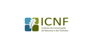 icnf instituto conservacao natureza florestas