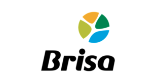 Brisa