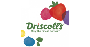 Driscoll's