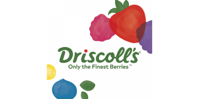 Driscoll's