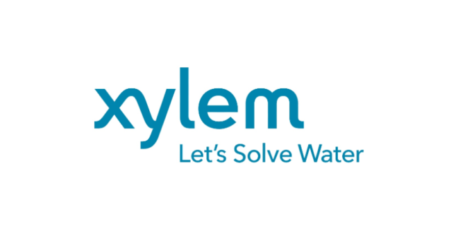 Xylem