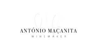 Grupo António Maçanita Winemaker