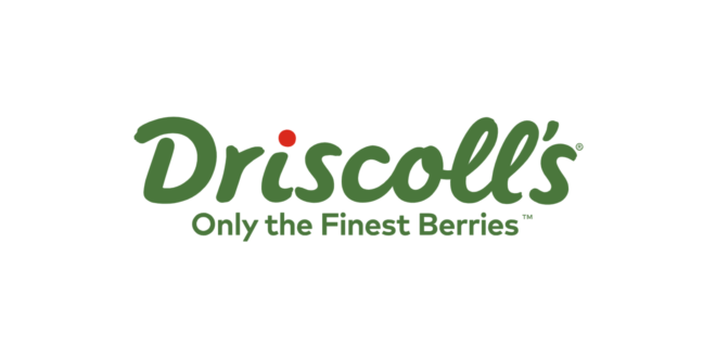 Driscoll's