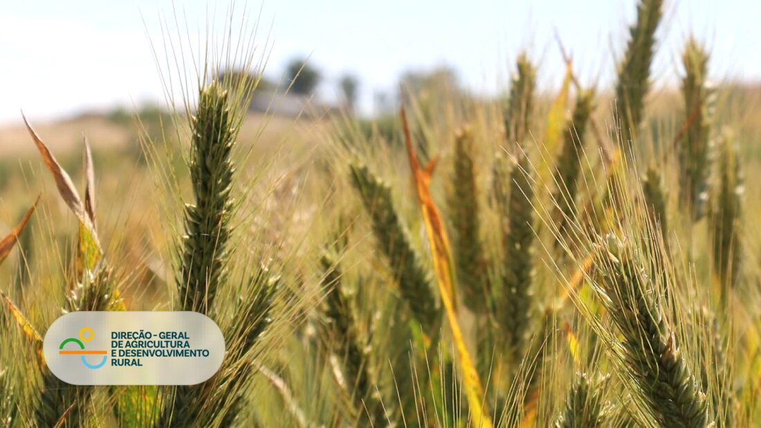 DGADR Direção-Geral de Agricultura e Desenvolvimento Rural