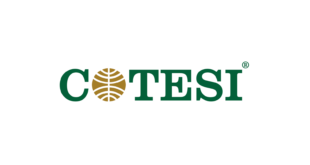 Cotesi