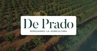 De Prado