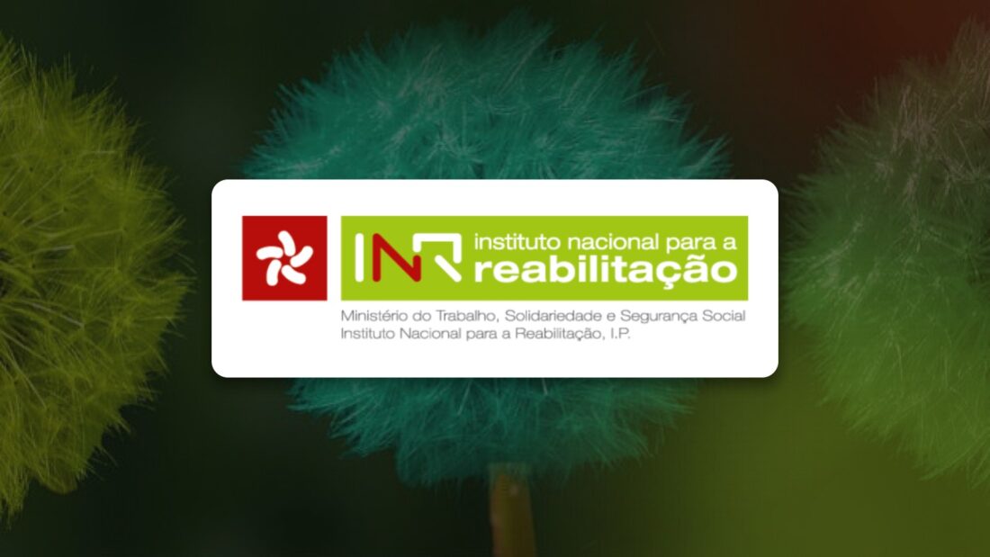 IDiPD Instituto para os Direitos das Pessoas com Deficiência