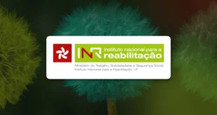IDiPD Instituto para os Direitos das Pessoas com Deficiência