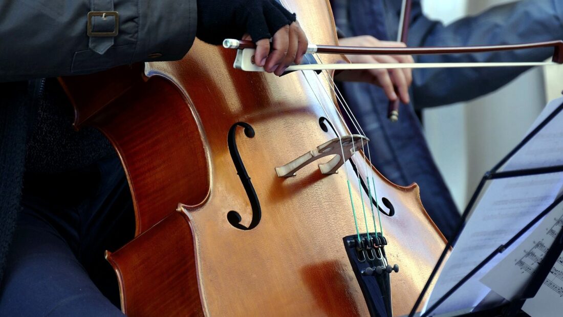 Câmara Municipal do Porto abre vaga de técnico superior na área da música, também para quem não tem vínculo